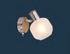 Dettaglio faretto 1 luce 54302-1