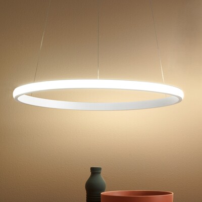 Sospensione minimal anello moderna bianca 60cm LED esterno con luce diretta e uniforme lungo il prof