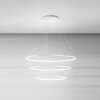 Lampadario grande cascata architetturale di luce a cerchi LED interno  44704
