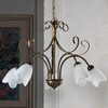 Particolare di Lampadario 5 luci bronzo sfumato e diffusori a tulipano  43644