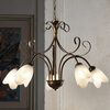 Lampadario 5 luci bronzo sfumato e diffusori a tulipano 43644 ODINO LUCI CLASSICHE
