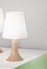 Lampada tortora per comodino in acrilico  43849