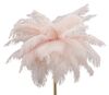Particolare di Lampada con piume rosa da arredo ciuffo diametro 40cm  42423