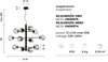Misure Lampadario ampio 12 sfere radiali e14 soggiorno