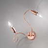 Rame plafoniera applique 2 luci 33706