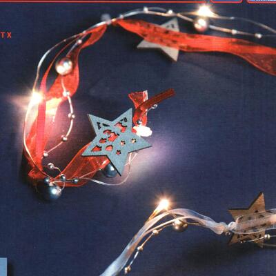 Filo 12 led bianco caldo a pile 06430 NATALE LUCI E COLORI