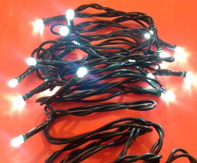 Catena 20 led bianchi per interno 20306 NATALE LUCI E COLORI