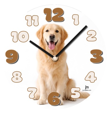 Orologio parete cane Golden Retriever con lingua fuori  45142