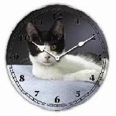 Orologio gatto bianco nero 30cm 32716 COLORI E LUCI