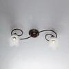 Applique o plafoniera 2 luci ricciolo semplice bronzato vetro 5 petali ALICE LUCI CLASSICHE
