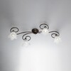 Plafoniera da soffitto classica lunga 4 luci ricciolo semplice bronzo vetro 5 petali ALICE LUCI CLAS