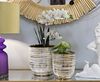 Porta vaso strie oro stondati set 2 misure orchidee e piccole piantine 42941 COLORI E LUCI - foto 5