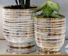 Porta vaso strie oro stondati set 2 misure orchidee e piccole piantine 42941 COLORI E LUCI