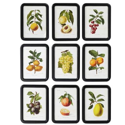 Quadretti assortiti frutta 30x40cm cornice stondata nera e vetro frontale 41102 COLORI E LUCI