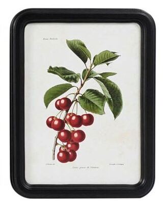 Quadro piccolo frutta con ciliegie 30x40 41095 COLORI E LUCI