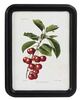 Quadro piccolo frutta con ciliegie 30x40 41095 COLORI E LUCI