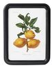 Quadro piccolo frutti limoni 30x40 41096 COLORI E LUCI