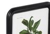 Dettaglio Set 9 Quadretti frutta 30x40cm cornice stondata nera e vetro frontale