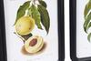 Particolare Set 9 Quadretti frutta 30x40cm cornice stondata nera e vetro frontale