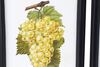 Altra foto Set 9 Quadretti frutta 30x40cm cornice stondata nera e vetro frontale