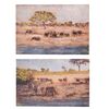 Coppia quadri animali savana 90x60cm zebre ed elefanti  39404 - foto 5