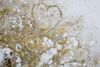 Ulteriore dettaglio di Quadro grande albero autunnale 180x60  40960