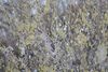 Immagine aggiuntiva di Quadro albero grande orizzontale lungo con sprazzi dorati 180x60  40961