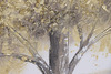 Particolare di Coppia quadri materici lunghi orizzontali albero toni grigi 120x80  45644
