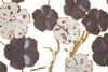 Immagine aggiuntiva di Quadro in metallo albero con fiori screziati 73,7x80  41201