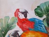 Particolare di Quadro colori accesi grande pappagalli 100x100
