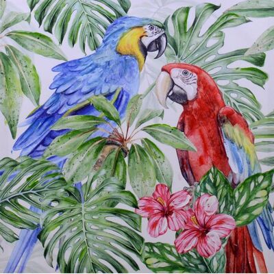 Quadro con due pappagalli variopinti 50x50cm  38298