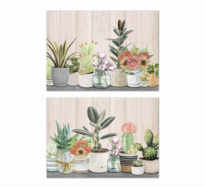Coppia 2 quadretti cactus e fiori 50x40 42979 COLORI E LUCI