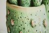 Ulteriore dettaglio di Quadro cactus fiorito stampa su tela laccata in vaso verde 40x40  43772