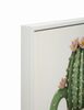 Immagine aggiuntiva di Quadro cactus in tazza con fiori rosa 40x40 stampa su tela laccata  43773