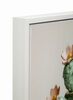 Immagine aggiuntiva di Quadro cactus sferico in mug verde 40x40 stampa su tela laccata  43774
