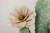 Particolare di Quadro cactus elegante con fiori grandi 40x40 stampa su tela laccata  43775