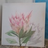 Seconda foto Quadro fiore di cactus 60x60 sfondo chiaro