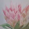 Dettaglio Quadro fiore di cactus 60x60 sfondo chiaro