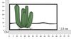 Quadro semplice in metallo cactus verde 60x33  41712 - foto 5