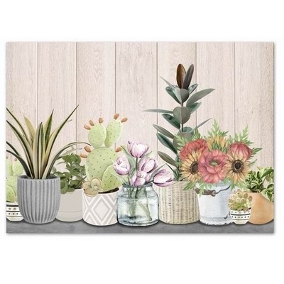 Quadro orizzontale cactus e piantine 50x40  42980