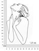 Quadro in metallo stilizzato donna relax 39x72  41697 - foto 5