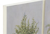 Particolare di Set 3 quadretti 20x35 erbe aromatiche