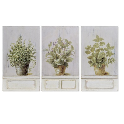 Set 3 quadretti 20x35 erbe aromatiche 39906 COLORI E LUCI
