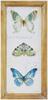 Quadro bordo shabby 28x60cm farfalle colorate Butterfly 39616 COLORI E LUCI