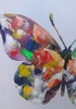 Dettaglio quadro farfalla variopinta con brillantini 60x60