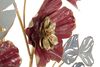Particolare di Composizione a quadro da parete con mazzo fiori toni rossi bordeaux 68,6x98,4  41317