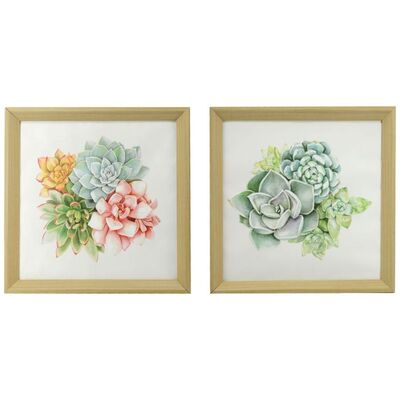 Quadretti piantine grasse 40x40cm 38042 COLORI E LUCI