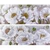 Quadri grandi con splendidi fiori bianchi e pistilli con brillantini 150x60cm 40113 COLORI E LUCI