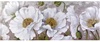 Altra foto Quadro grande mod. A con splendidi fiori bianchi e pistilli brillantini 150x60cm