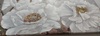 Particolare di  Quadro grande mod. B con splendidi fiori bianchi e pistilli brillantini 150x60cm